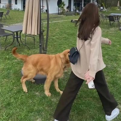 伊娃这样的女人 海报