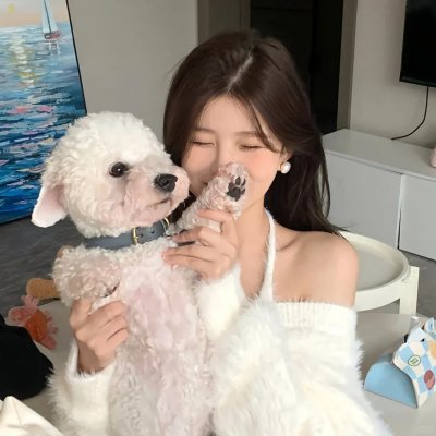 执法女先锋 海报